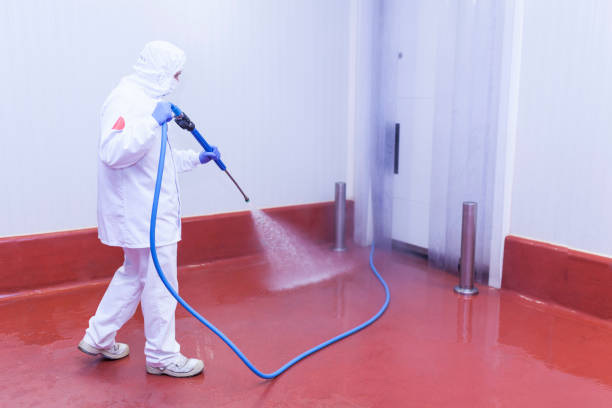 Best Soft Washing  in Kensington, NY
